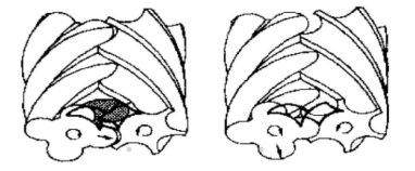 螺桿空壓機的排氣過程 螺桿空壓機的排氣過程